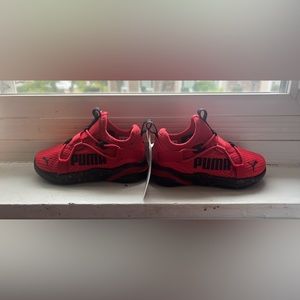 Toddler Boy Pumas